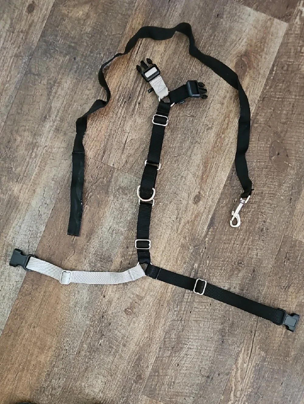 Adjustable Black & Gray Dog Harness with Leash